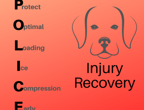 P.O.L.I.C.E. for Injury Recovery