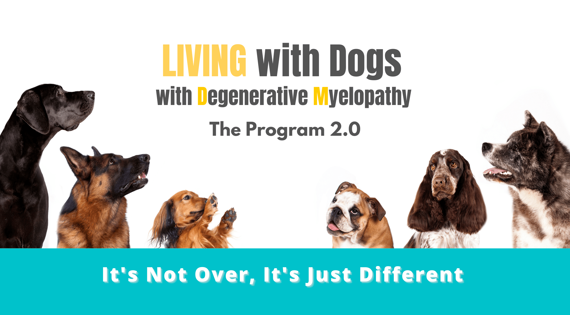 when should you euthanize a dog with degenerative myelopathy