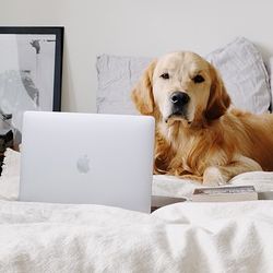 Virtual Coaching