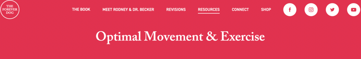 Optimal Movement Exercise